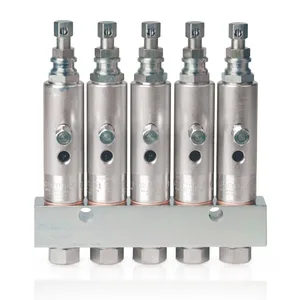 GL-1 Grease Injectors - 5 Injectors and Manifold - Graco 114905
