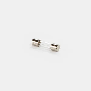 Pro210ES Replacement Fuse - Graco 119277