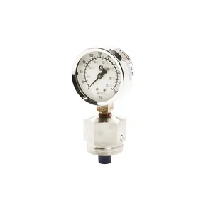 Stainless Steel Fluid Gauge with Dampener, 0-300 psi (0-21 bar) - Graco 208855