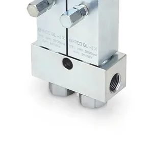 GL-1 X Grease Injector, Two Point - Graco 24X802