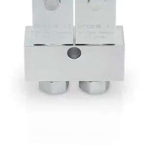 GL-1 X Grease Injector, Two Point - Graco 24X802