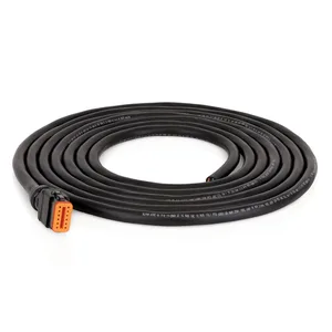 Compact Dyna-Star® Wiring Extension, 12-Pin DT, 12-Wire Color Coded 20 ft Wiring Cable, Flying Leads - Graco 26A884