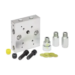 Remote Pump Manifold (NPT) with Outlet Check Valve for Modu-Flo Pumps, System Fill Check Valve, Blowout Assembly - Graco 563323