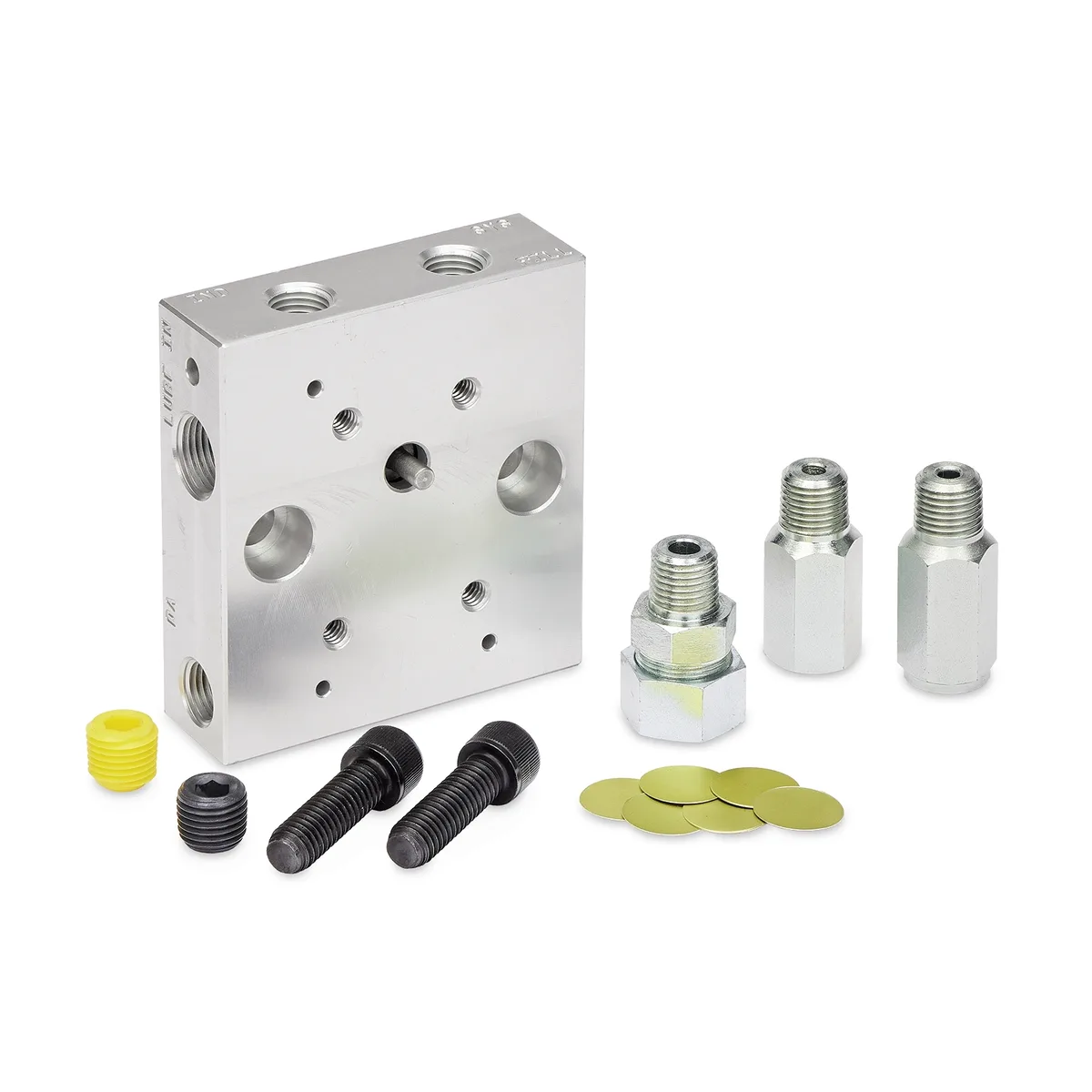 Remote Pump Manifold (NPT) with Outlet Check Valve for Modu-Flo Pumps, System Fill Check Valve, Blowout Assembly - Graco 563323