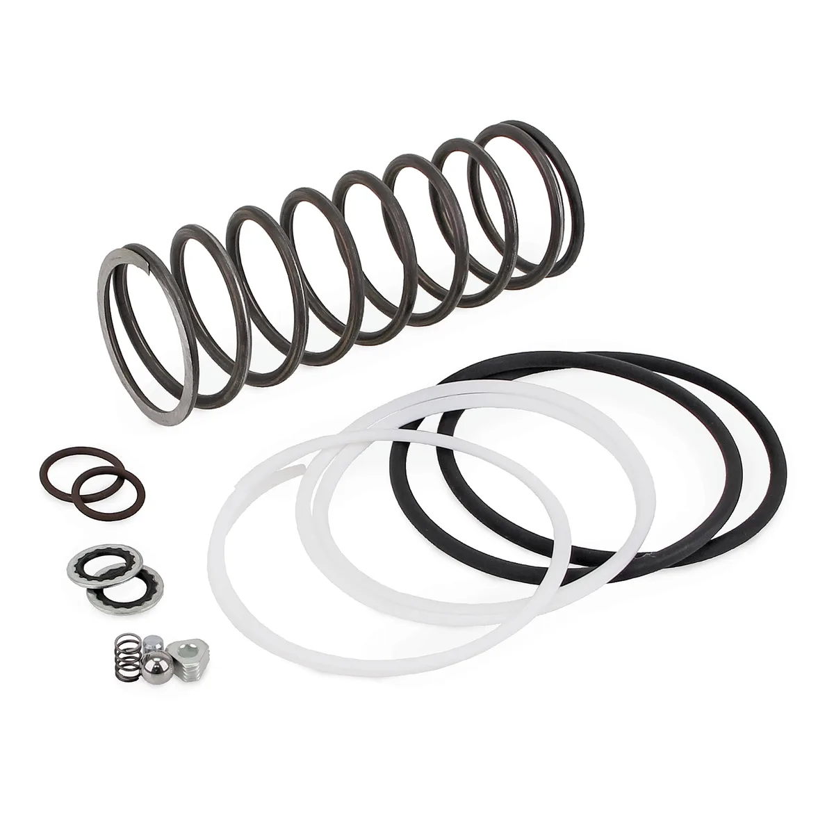 MSA-100 Repair Parts Kit - Graco 563913