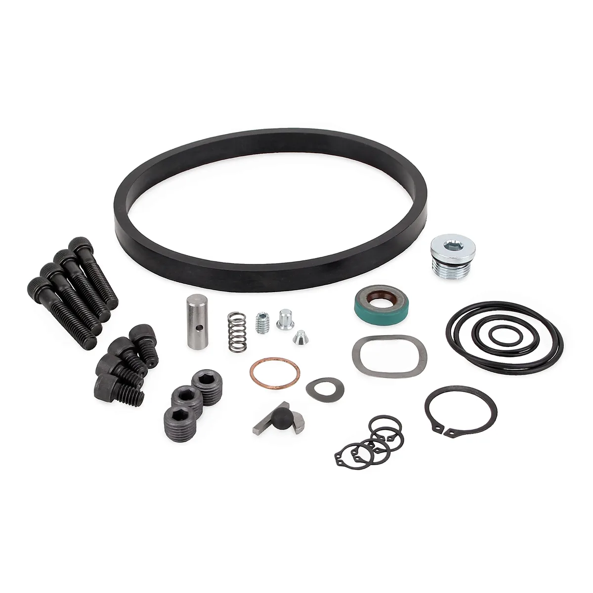 Lube Master® Seal Kit - Graco 563921