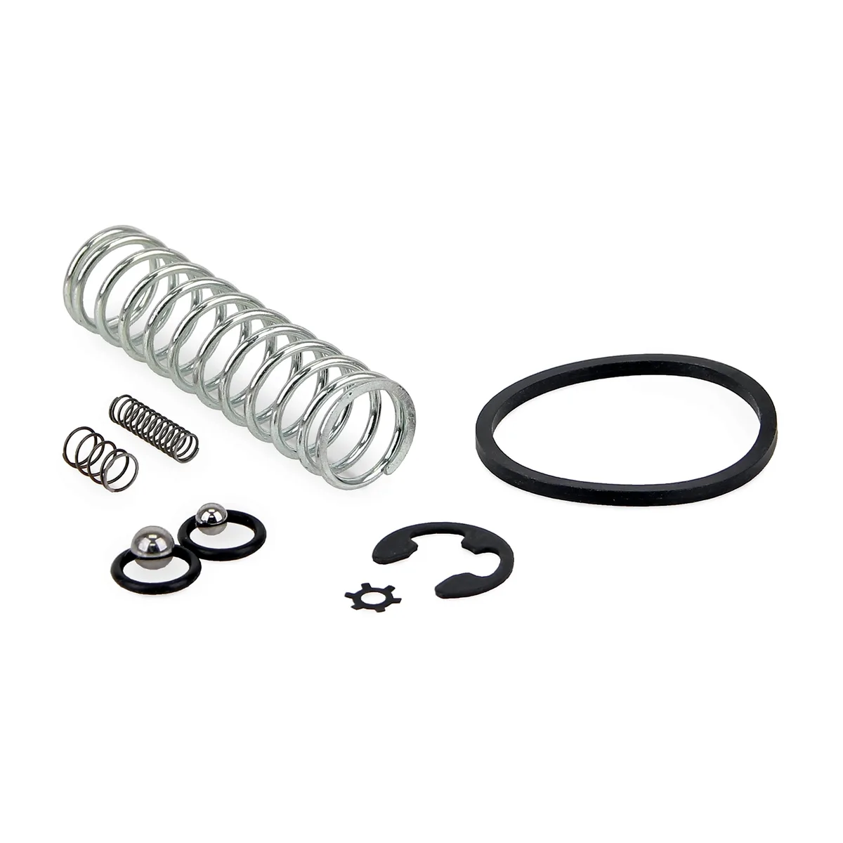 PH Manual Pump Body Repair Kit - Graco 563924