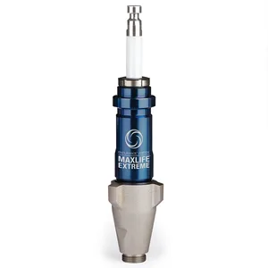 Endurance Vortex MaxLife Extreme Piston Pump - Graco 17H826