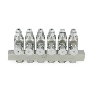 GL-33 Grease Injector, Carbon Steel, 6 Injector Manifold, 1/8 in. BSPP x 6 mm - Graco 24W505