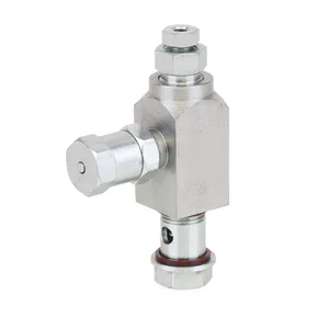 GL-32 Replacement Grease Injector, 304 Stainless Steel, 6 mm outlet, BSPP - Graco 24F550