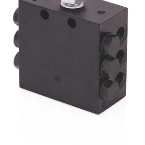 CSP Divider Valve, 1/8 inch BSPP, 12 Outlets, Indicator Included - Graco 24Z498