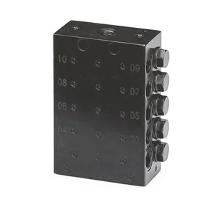 CSP Divider Valve, 1/8 inch BSPP, 10 Outlets - Graco 24Z479