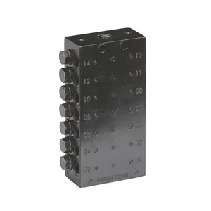 CSP Divider Valve, 1/8 inch BSPP, 14 Outlets - Graco 24Z481