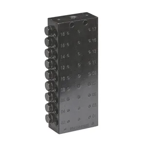 CSP Divider Valve, 1/8 inch BSPP, 18 Outlets - Graco 24Z483